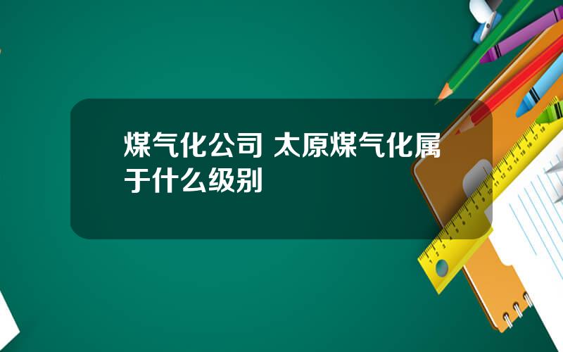 煤气化公司 太原煤气化属于什么级别